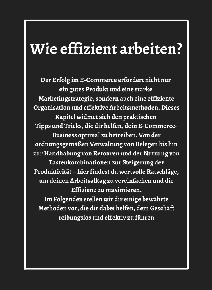 E-Commerce | Die Anleitung für Einsteiger (E-Book)